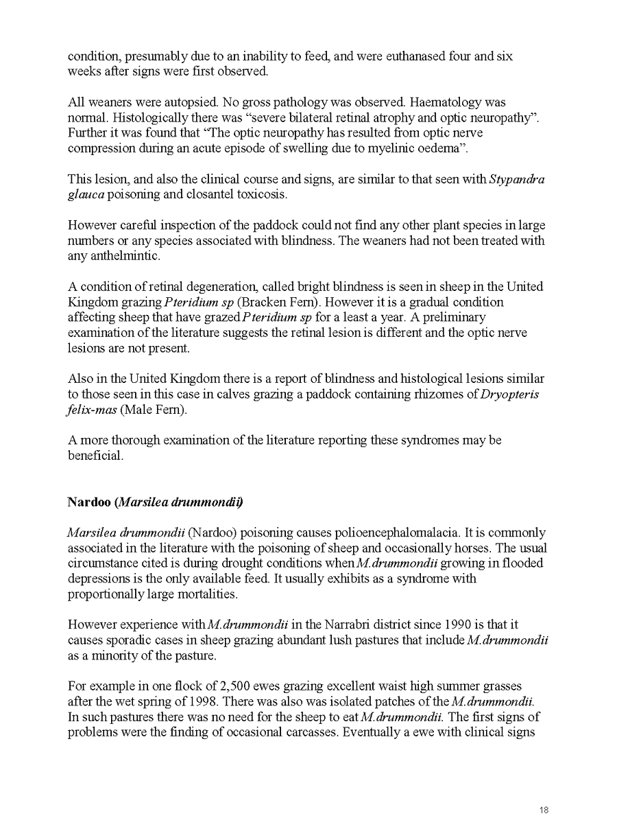2005 page 18